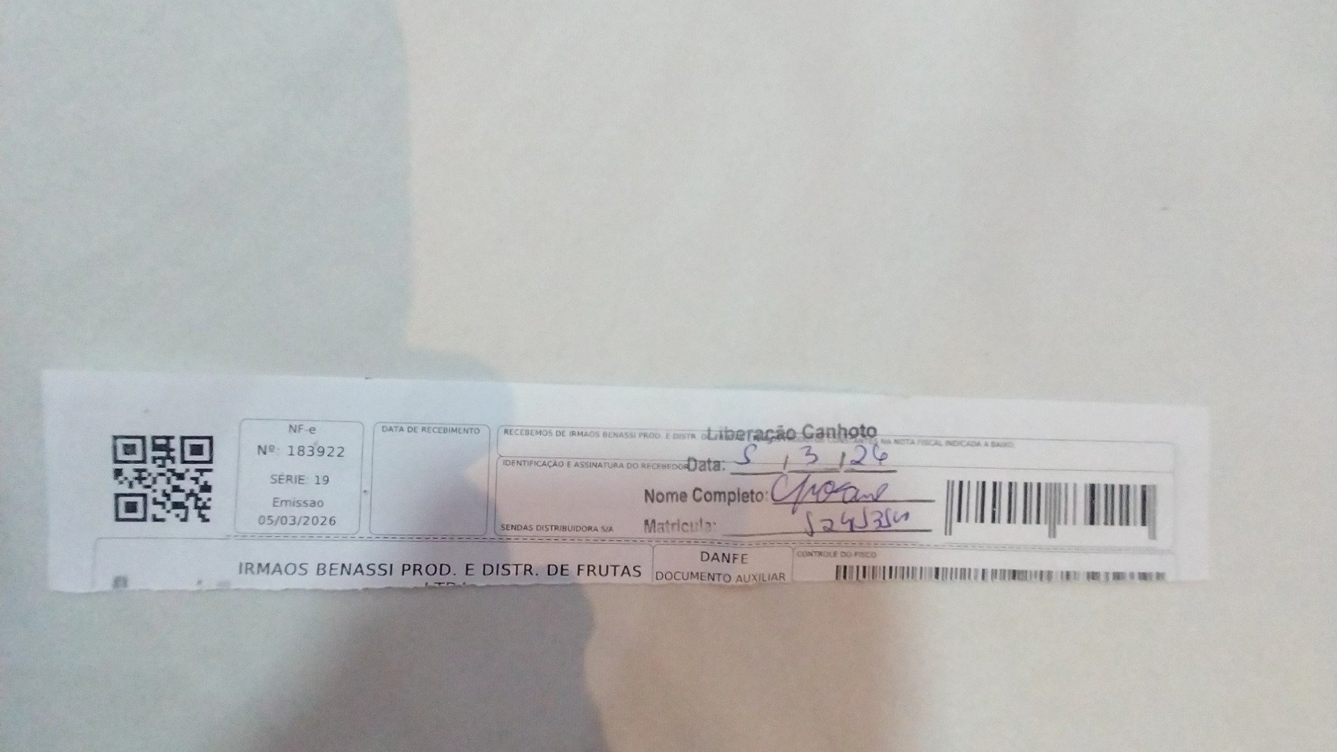Canhoto 141046493