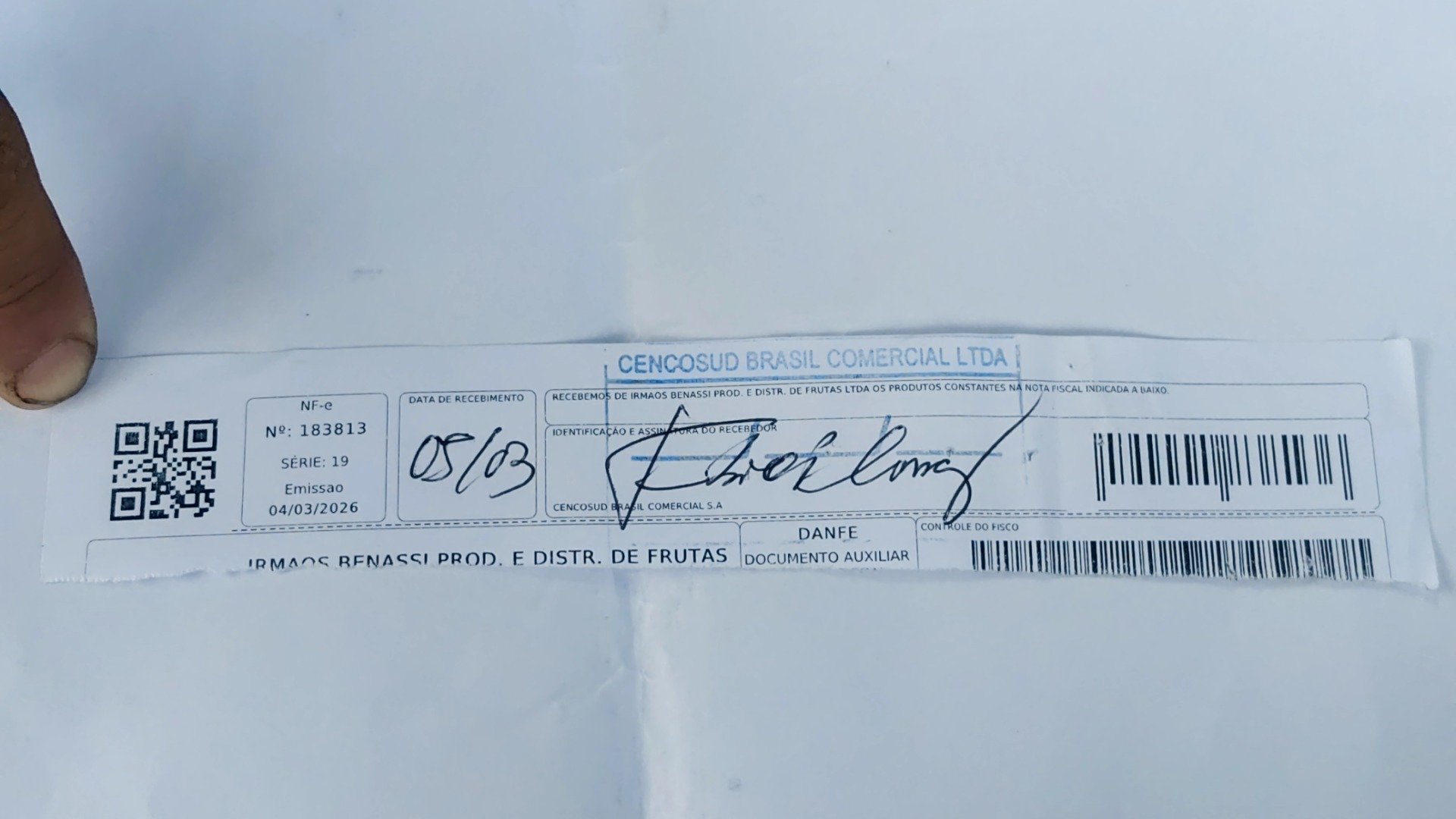 Canhoto 141051493