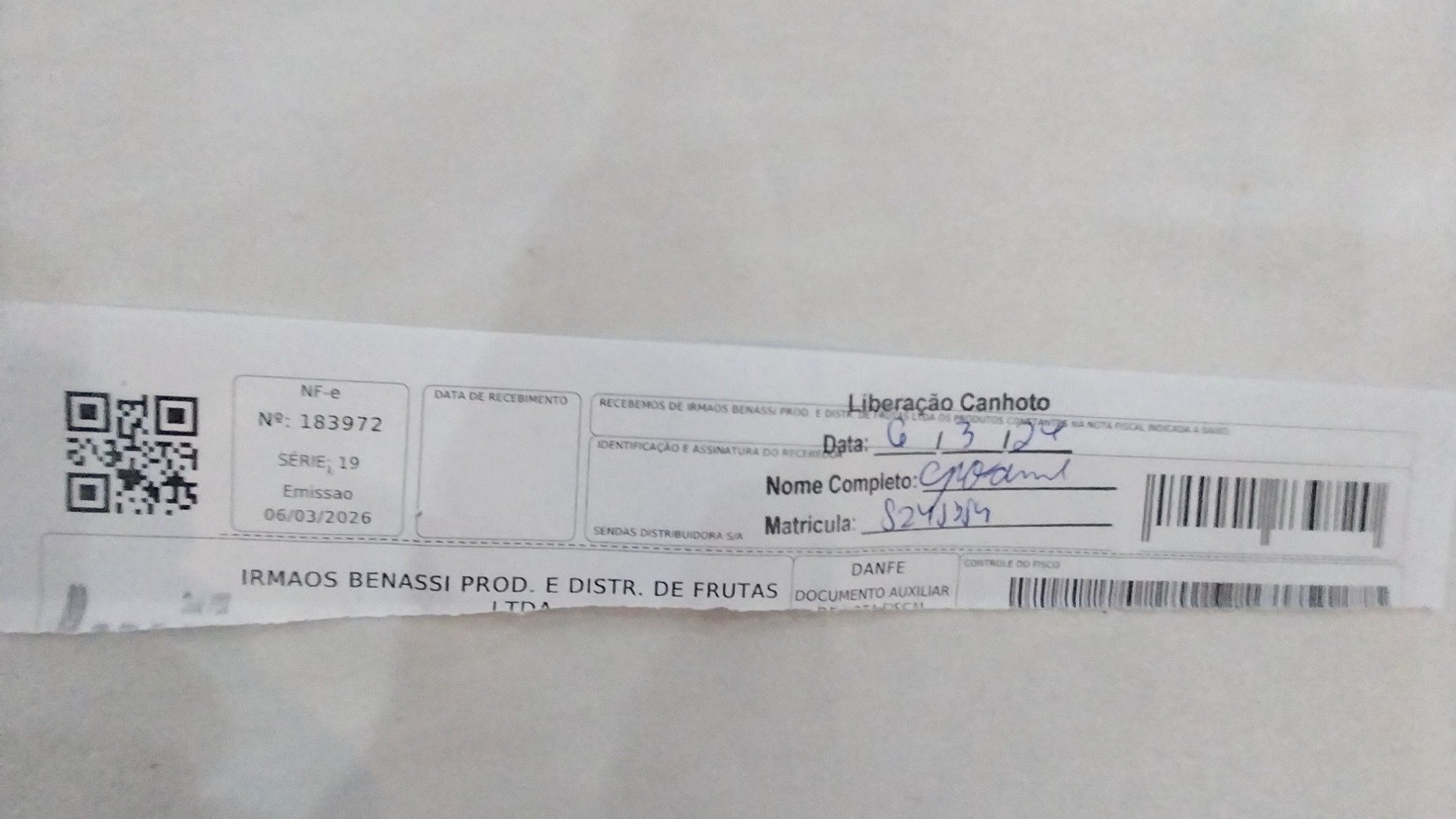 Canhoto 141282593