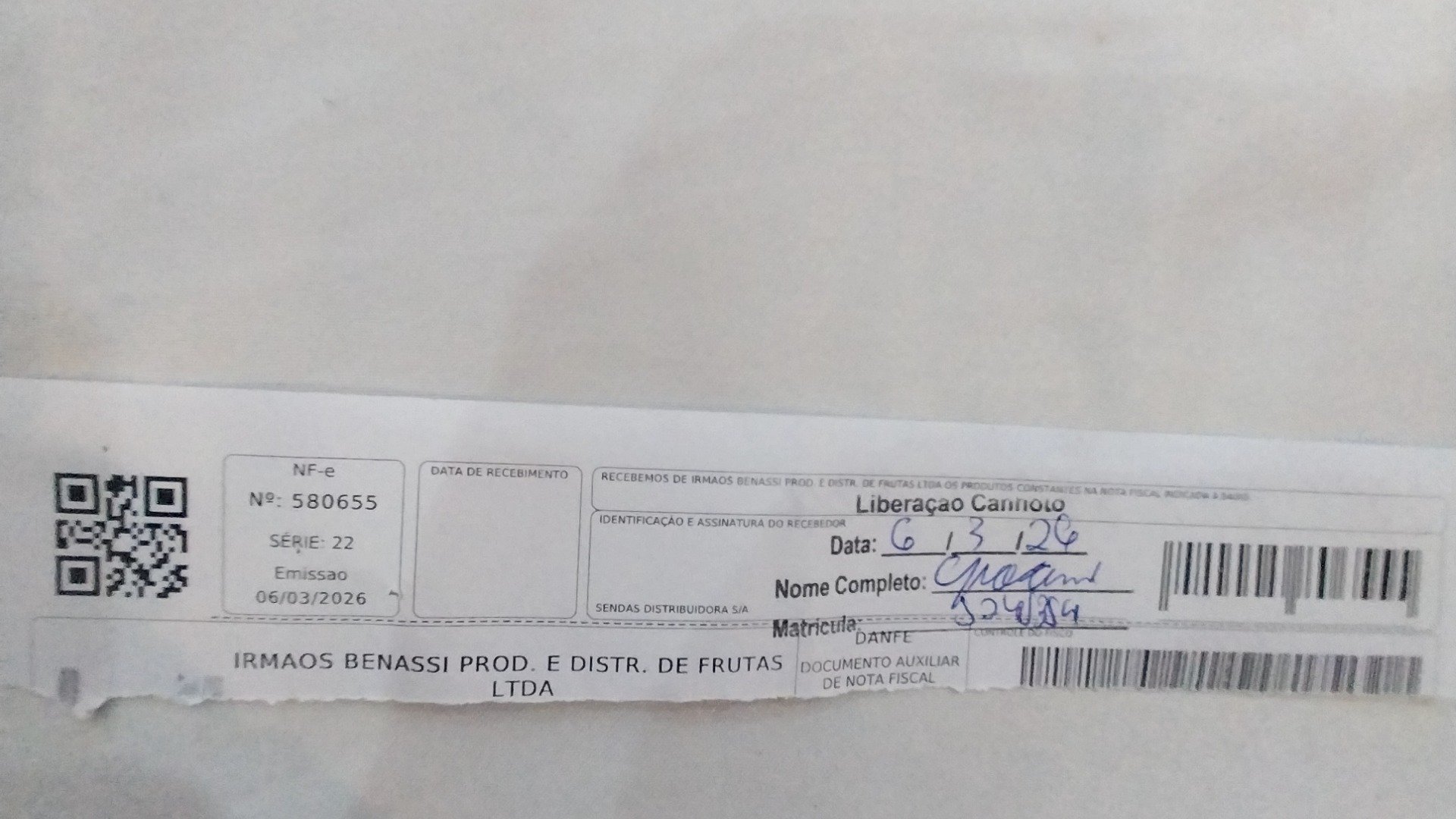 Canhoto 141282793