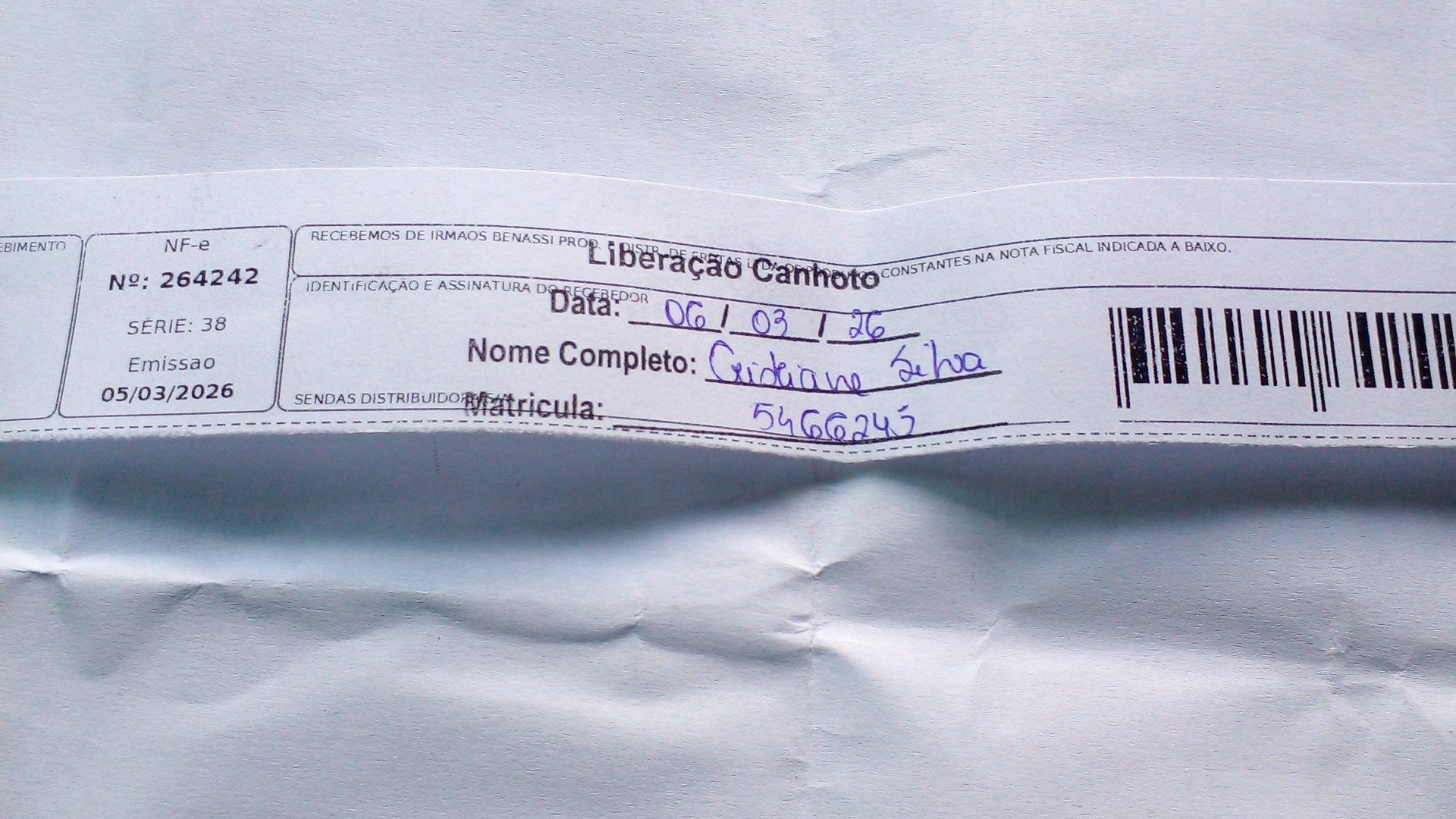 Canhoto 141262093