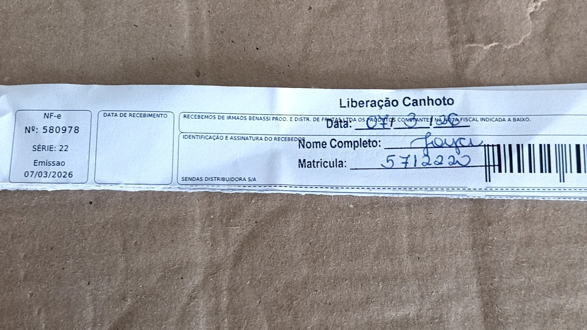 Canhoto 141482493