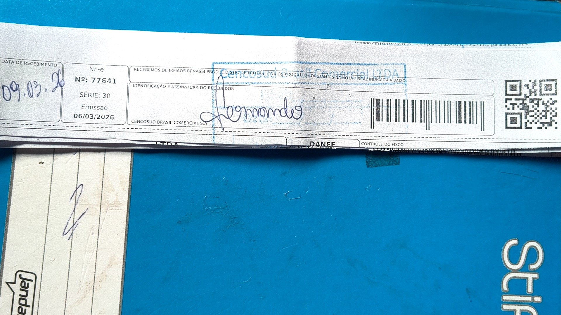 Canhoto 141491993