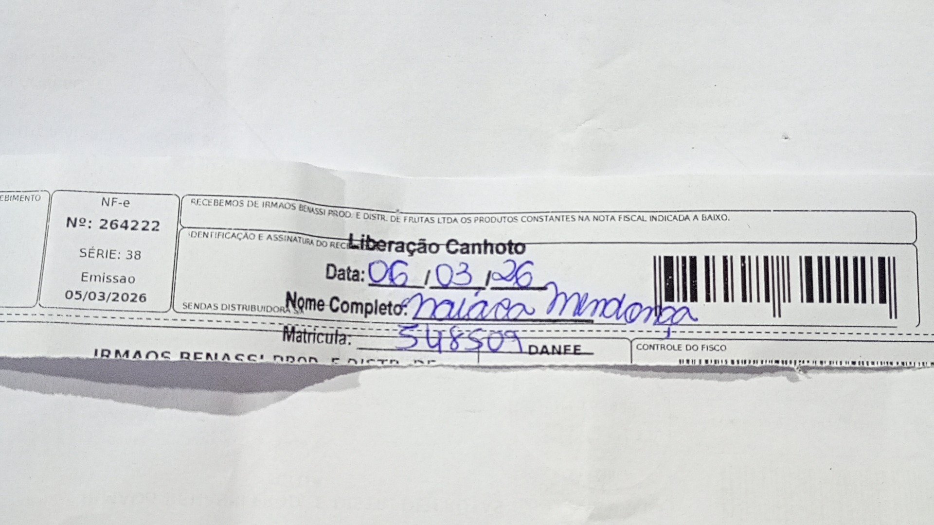 Canhoto 141257393