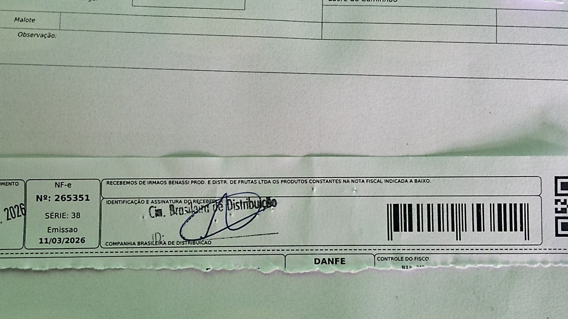 Canhoto 142323893