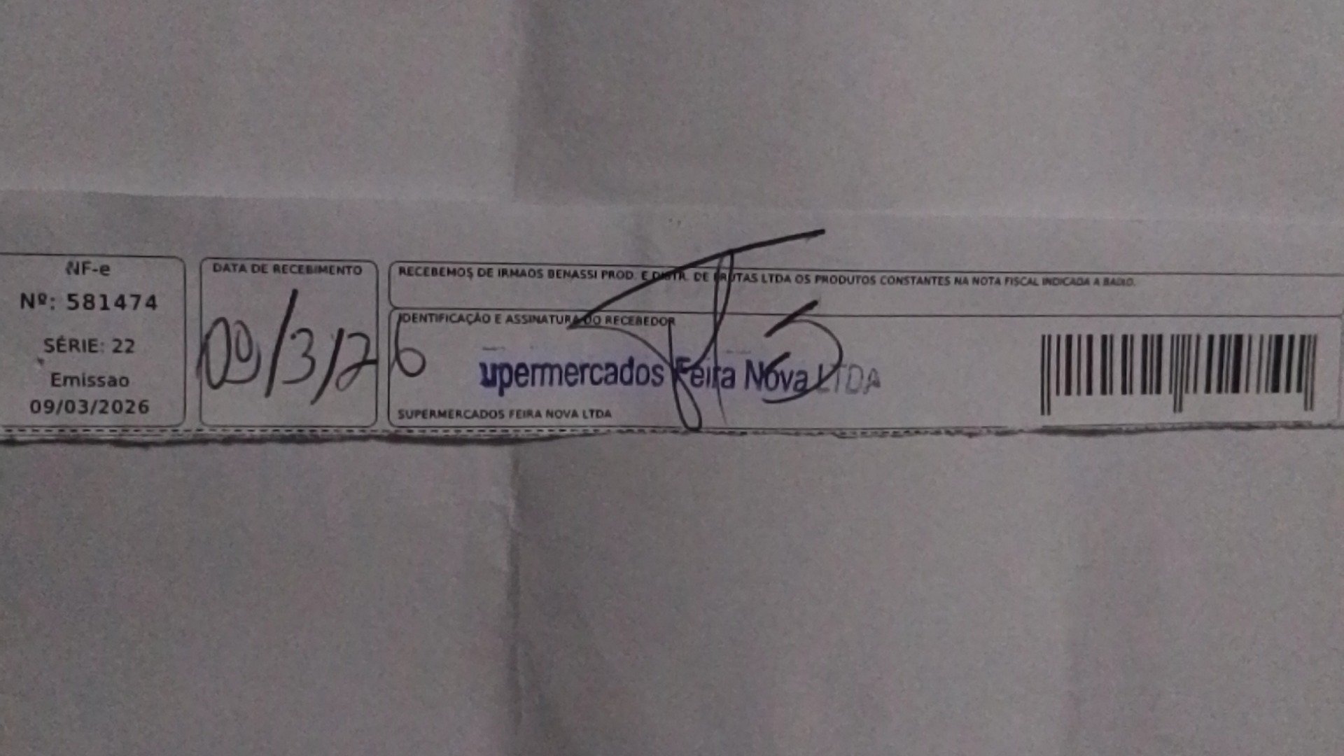 Canhoto 141731293