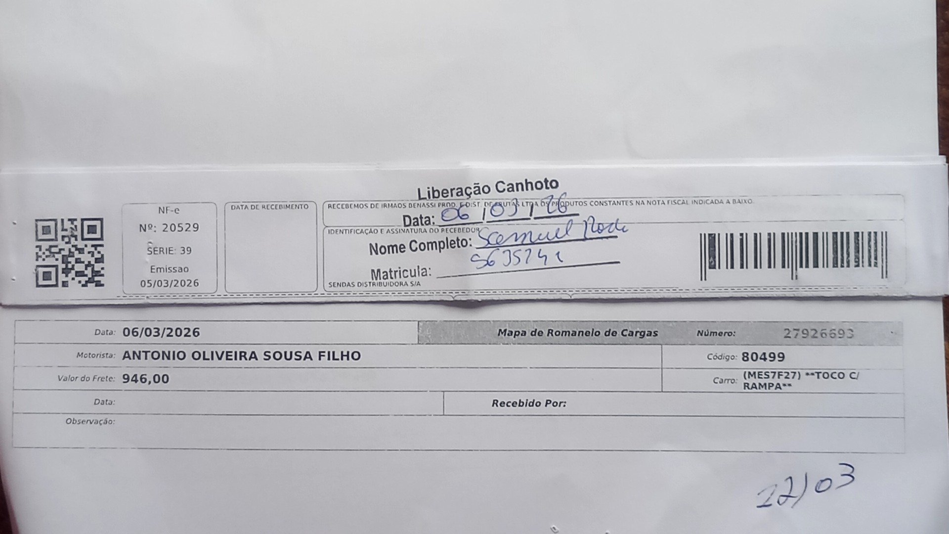 Canhoto 141241893