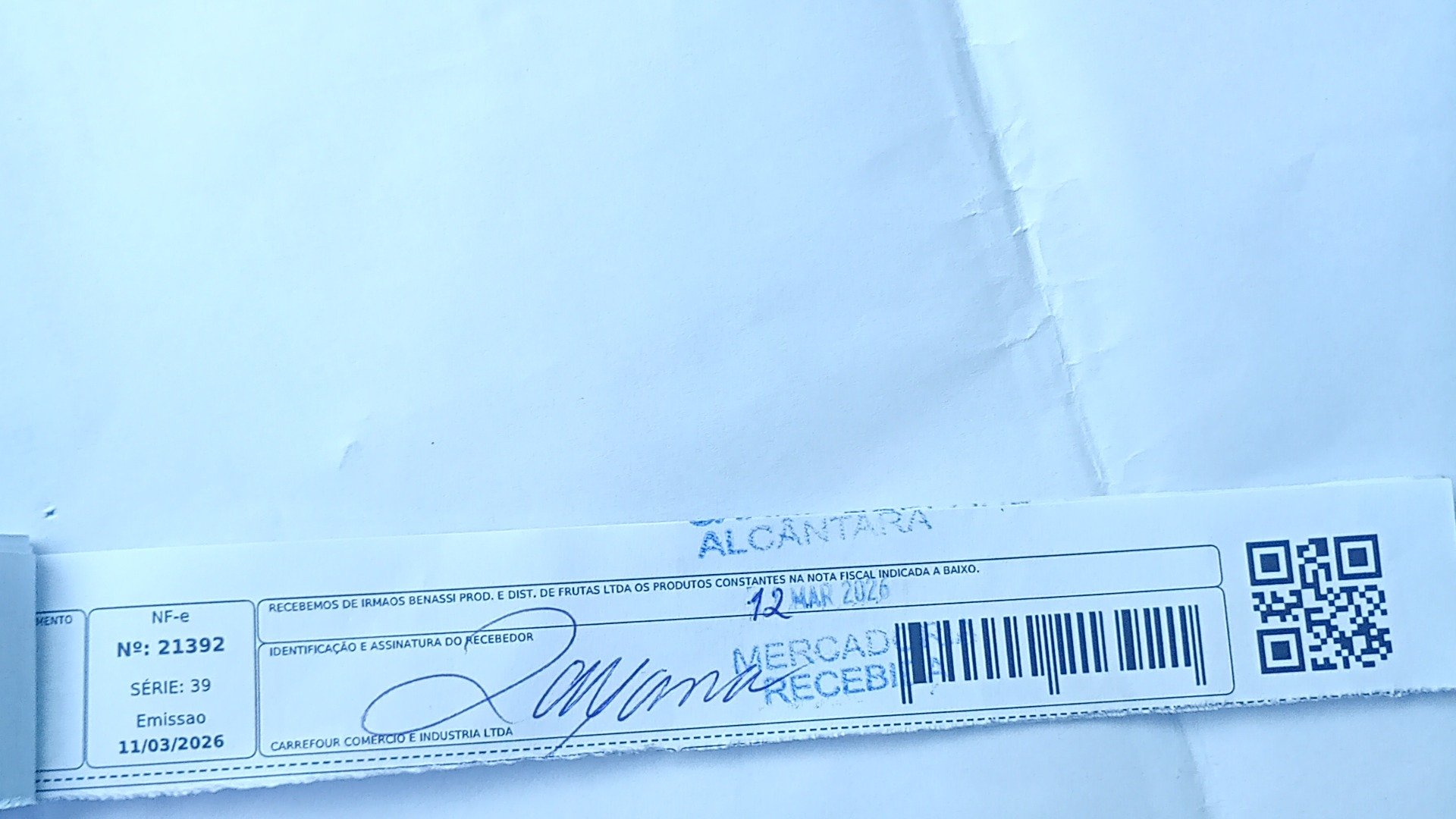 Canhoto 142253693