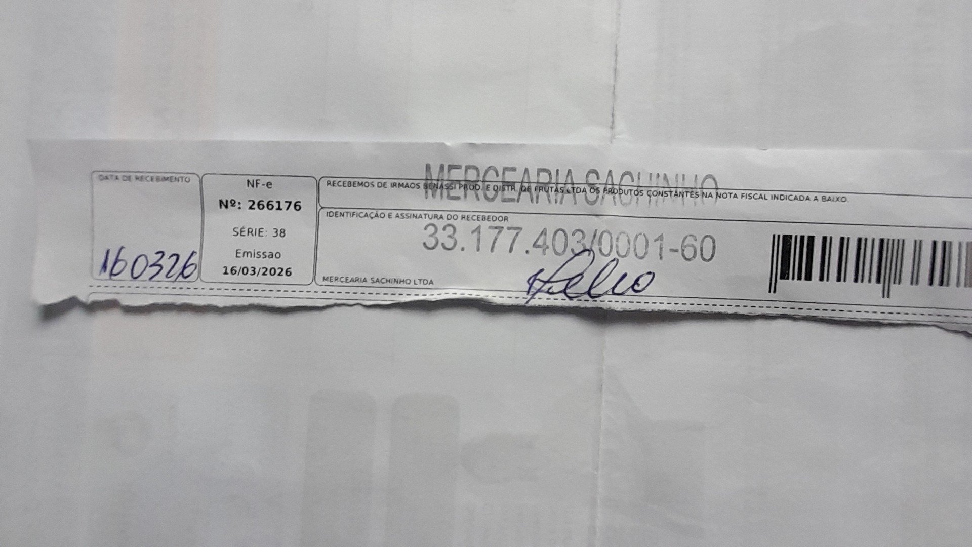 Canhoto 142909993