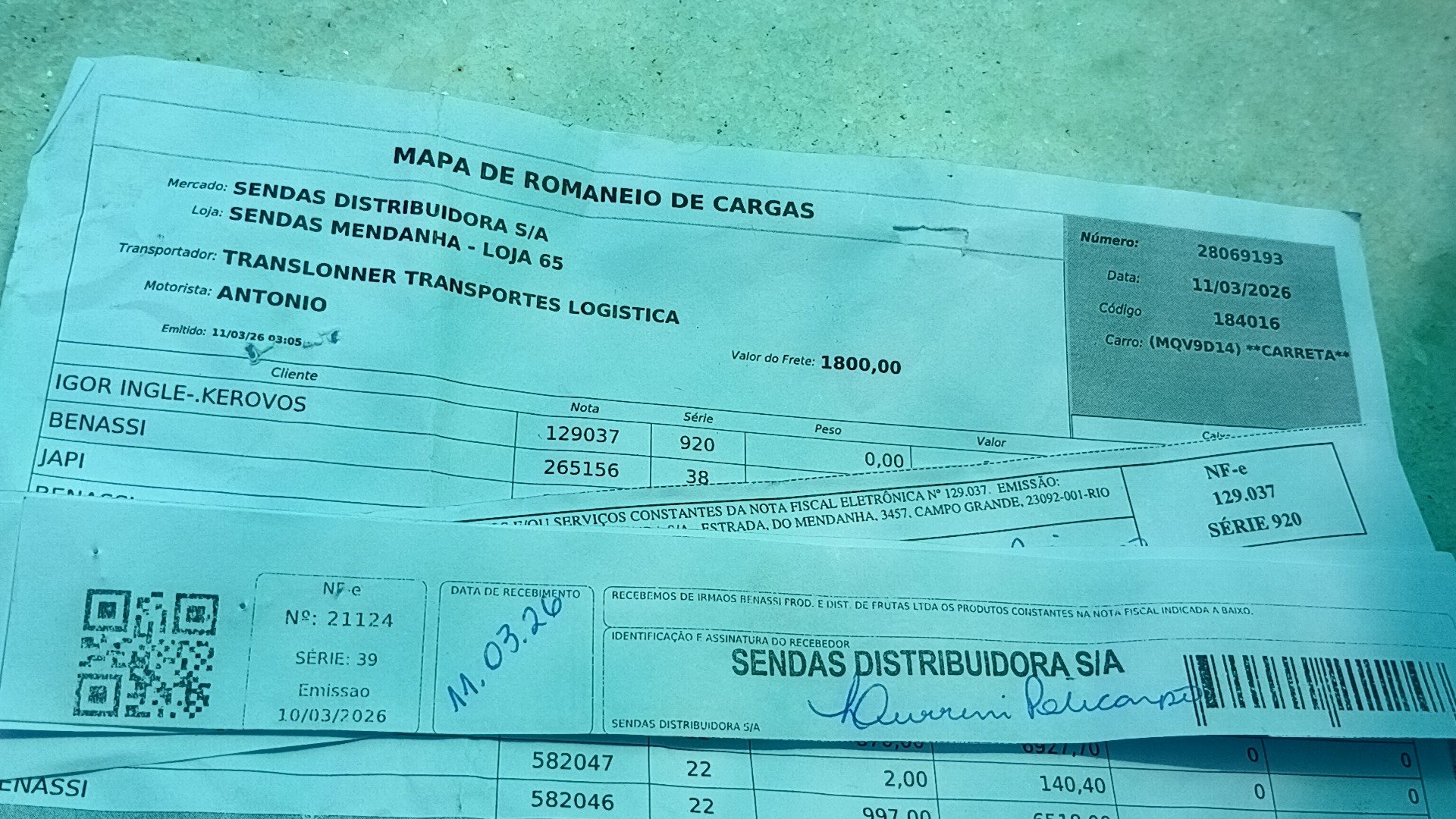 Canhoto 142066893