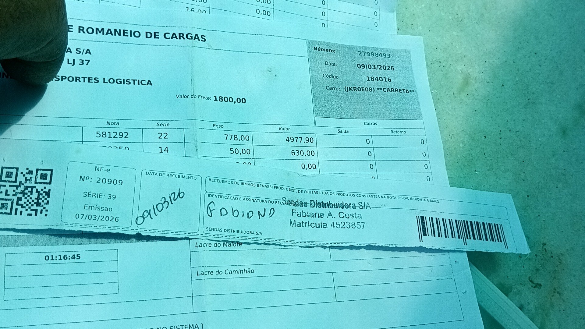 Canhoto 141664393