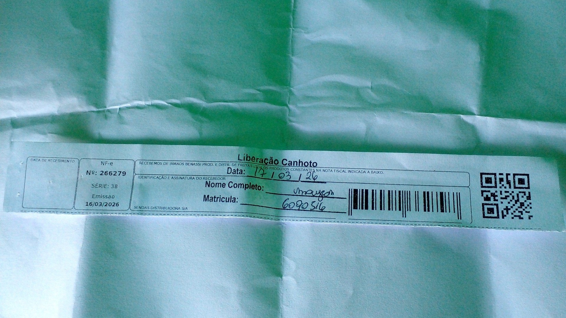 Canhoto 143035093
