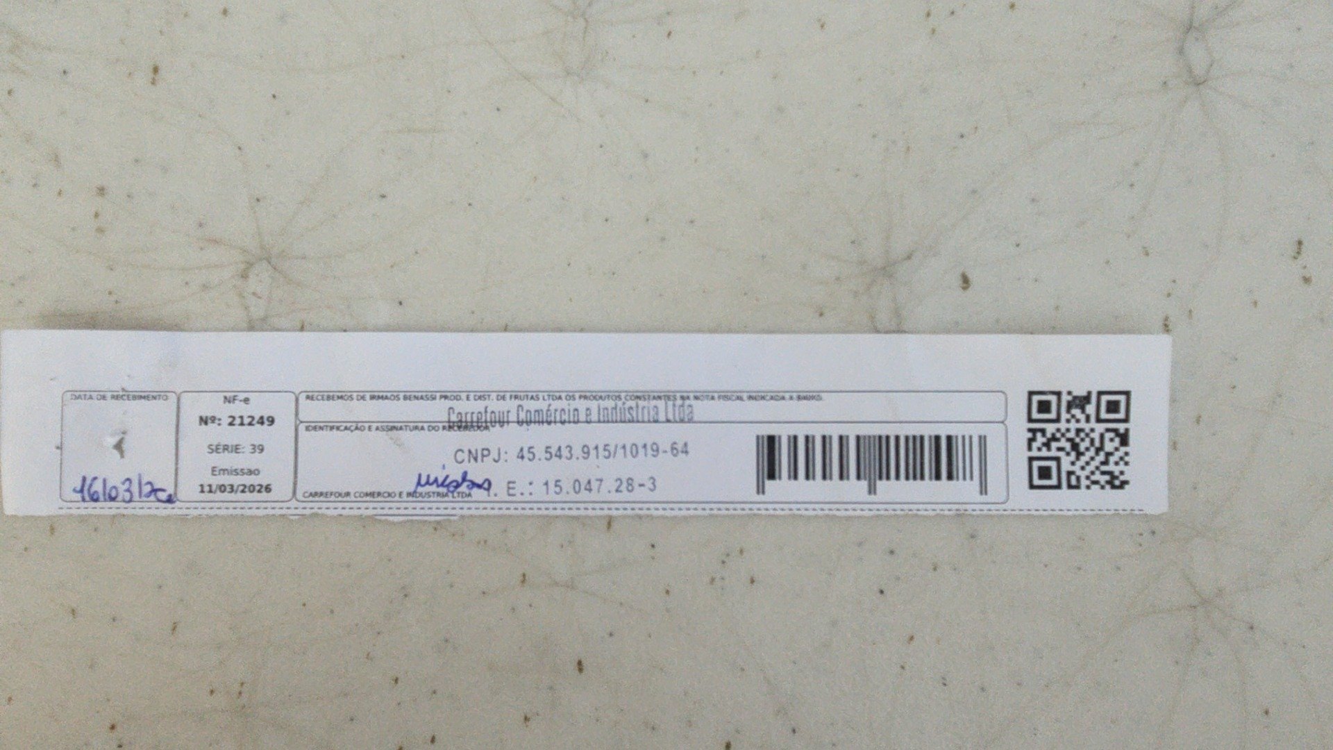 Canhoto 142023393