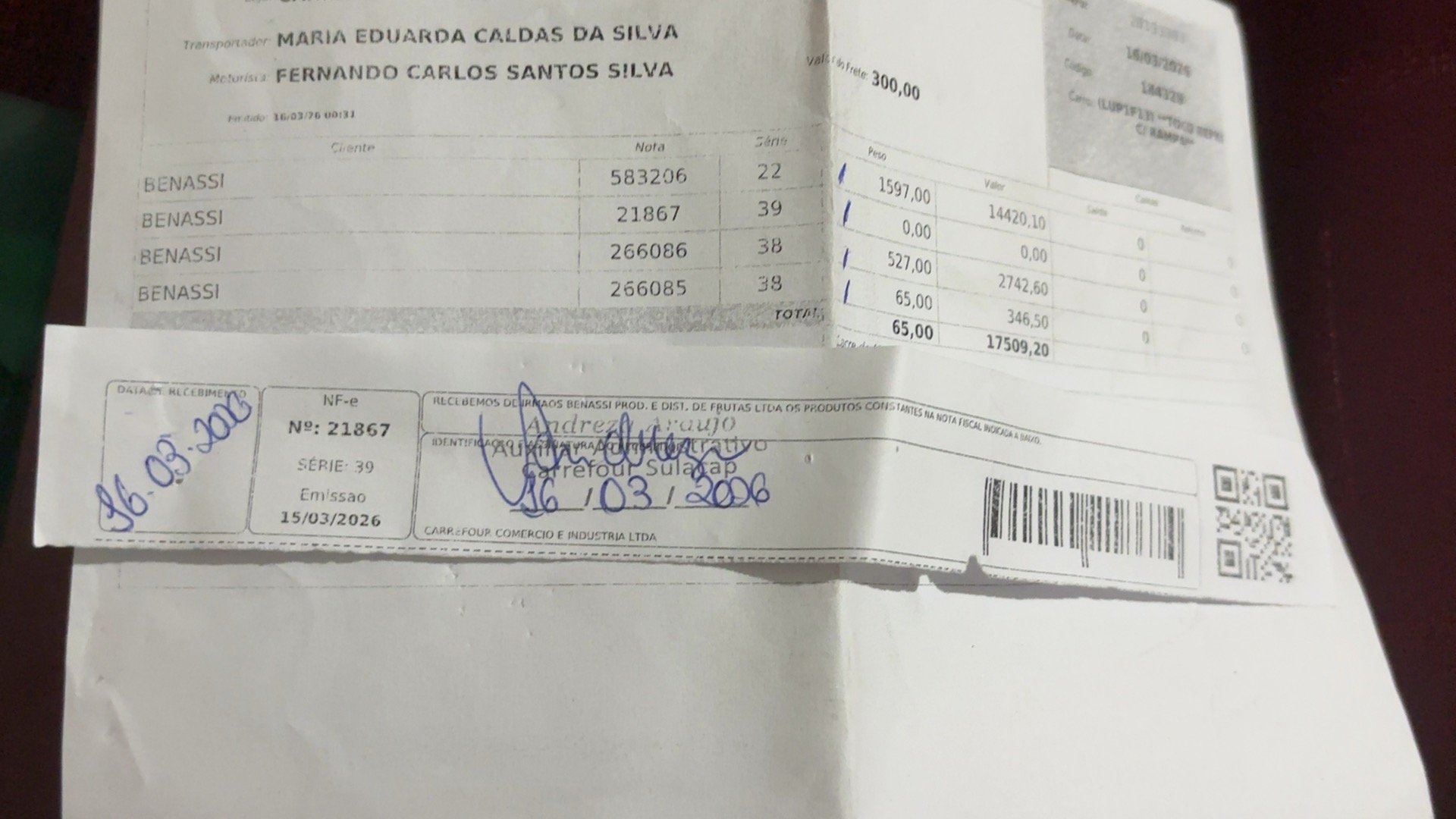Canhoto 142821493