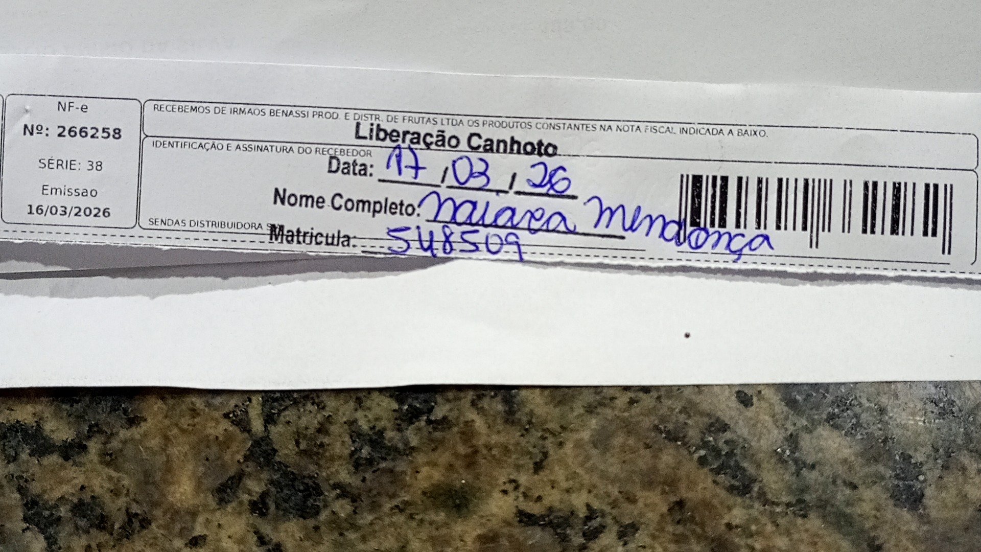 Canhoto 143034393