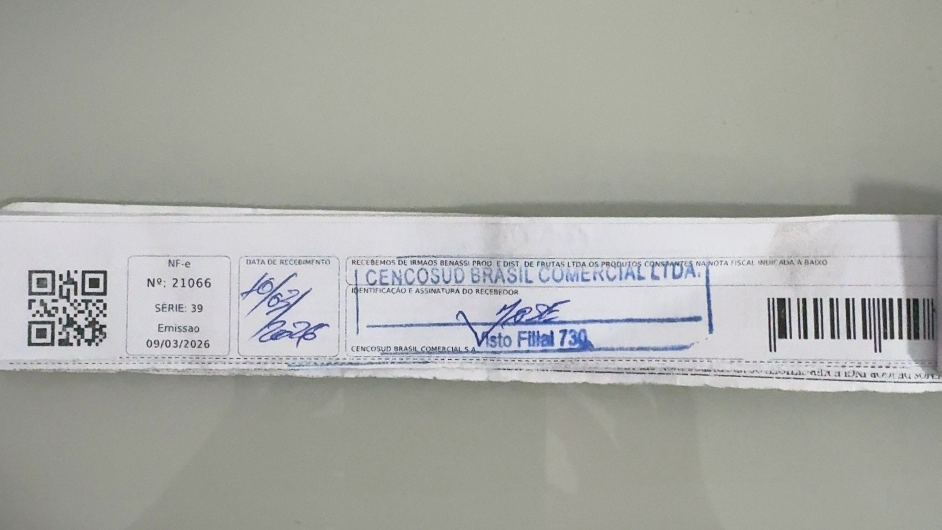 Canhoto 141908893