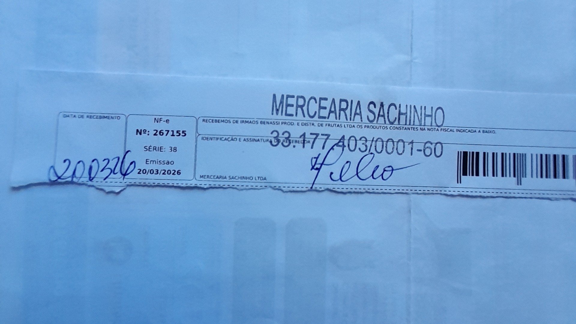 Canhoto 143693793