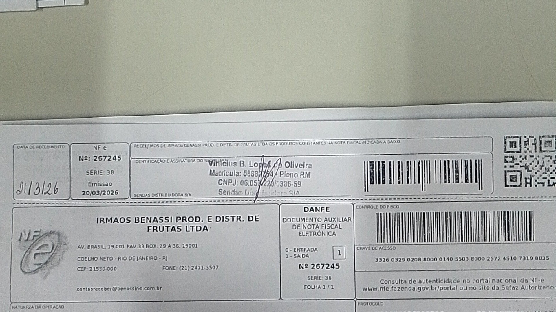 Canhoto 143849493