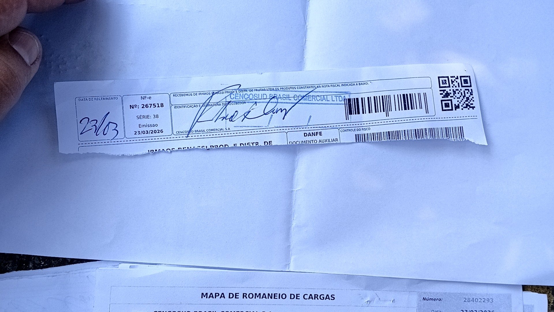 Canhoto 144056593