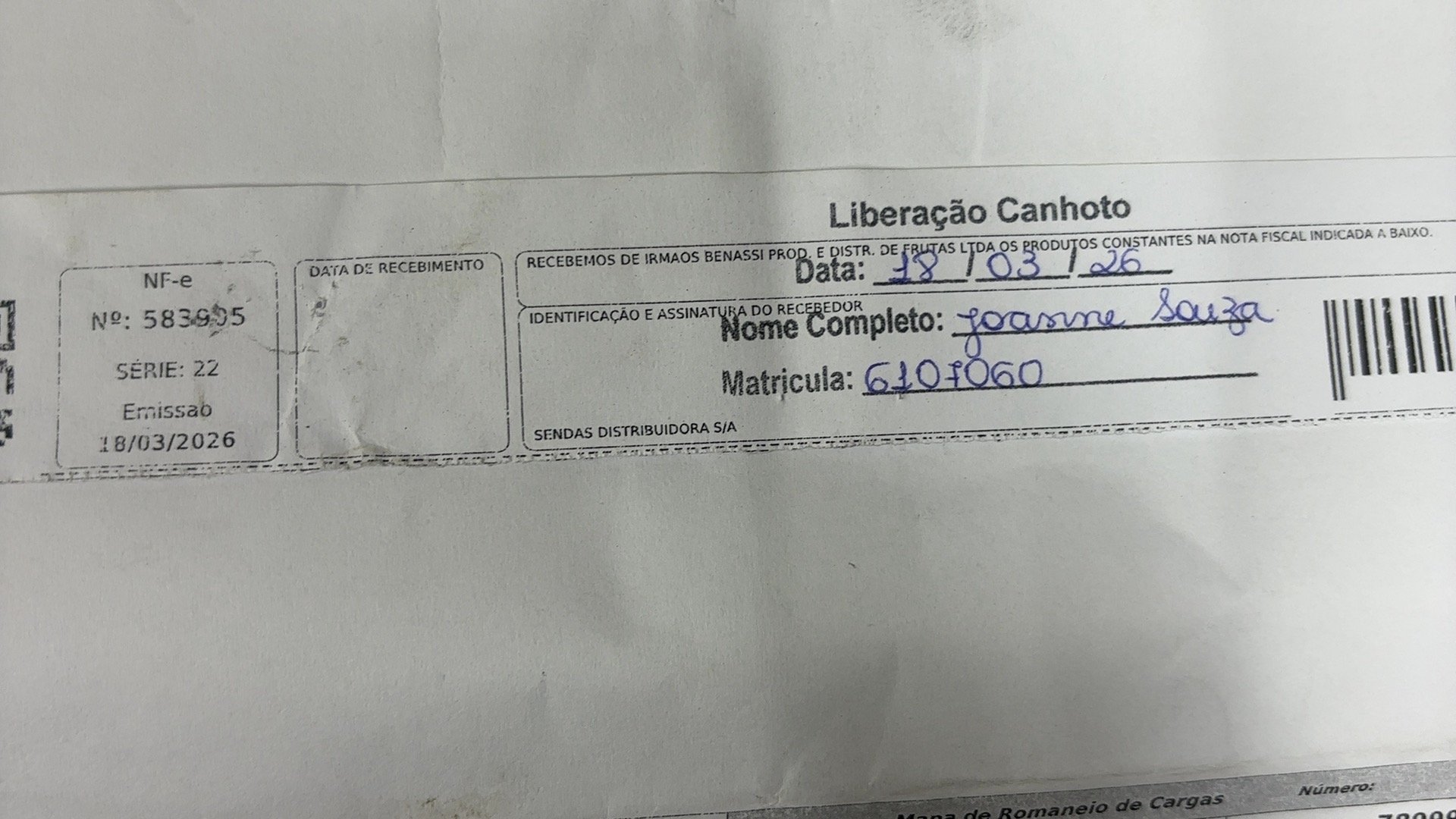 Canhoto 143294593