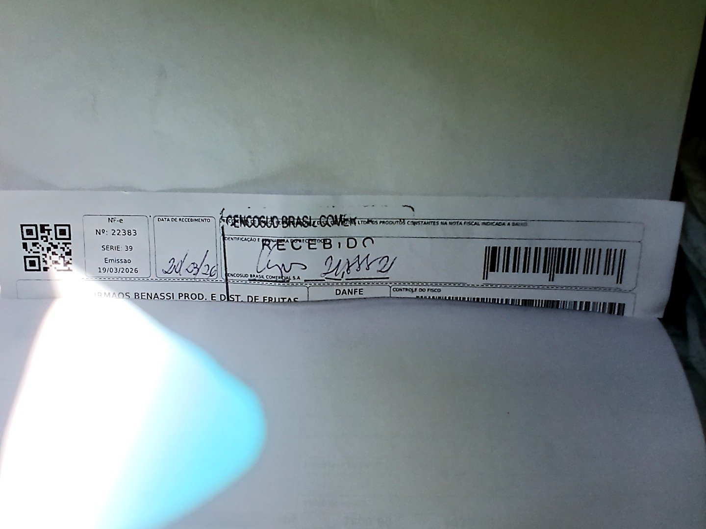 Canhoto 143689893