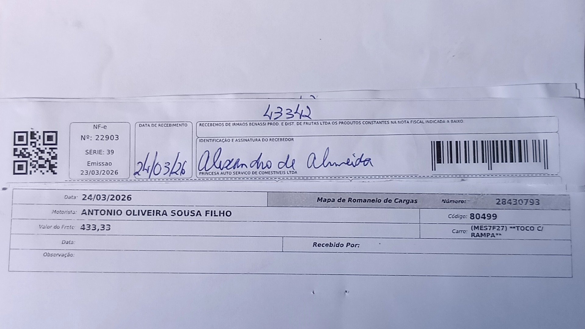 Canhoto 144231893