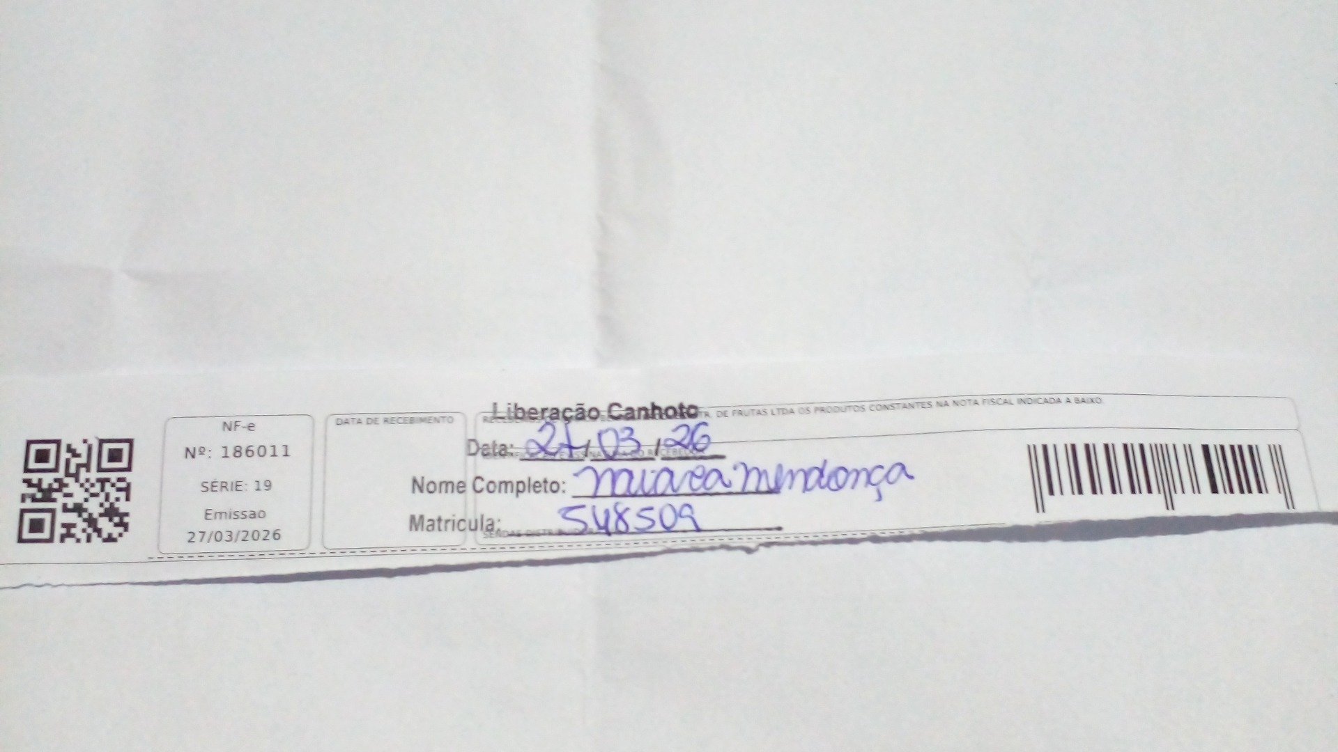 Canhoto 144844193