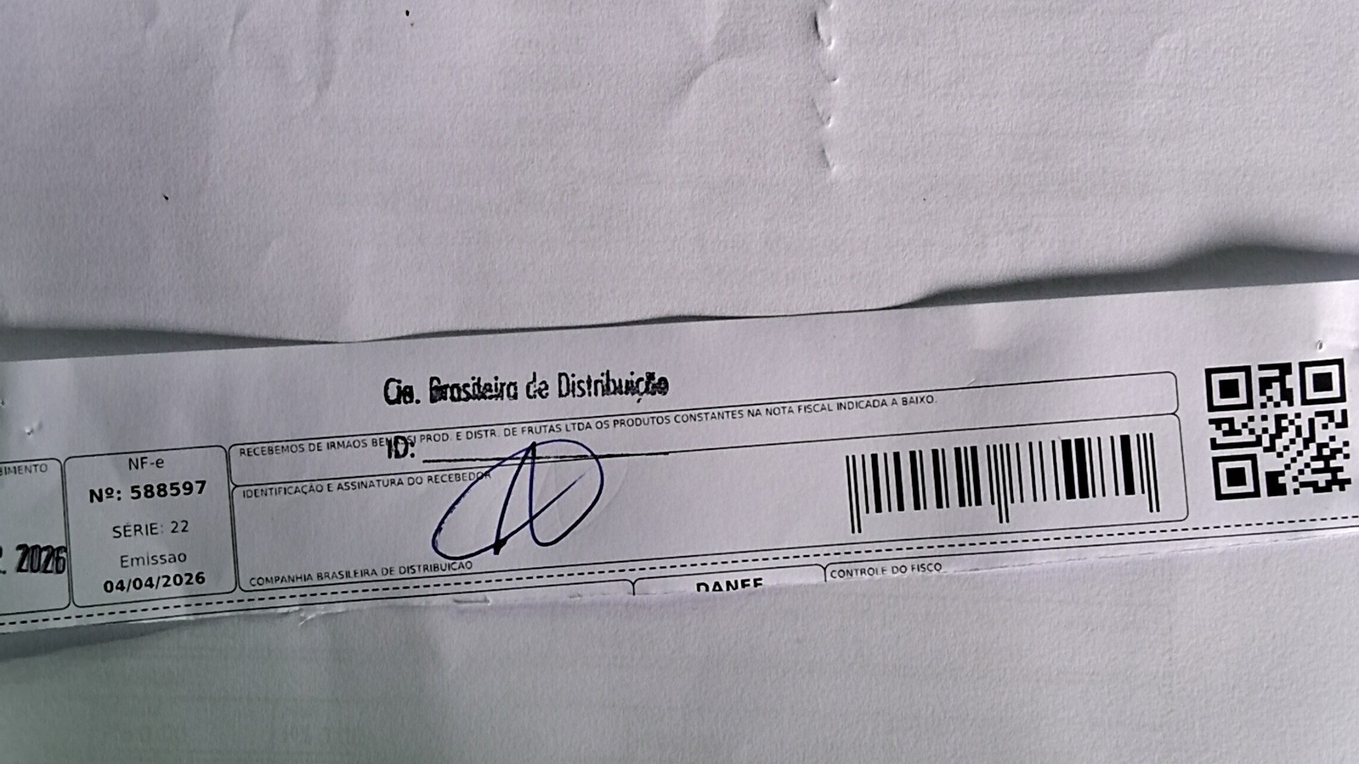 Canhoto 146288293