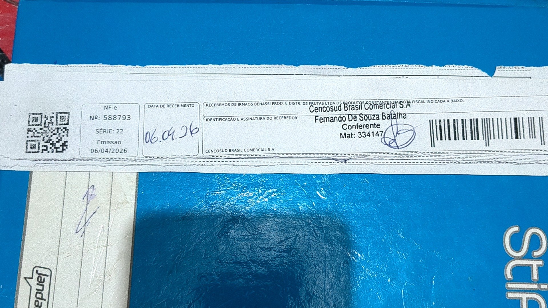 Canhoto 146435693