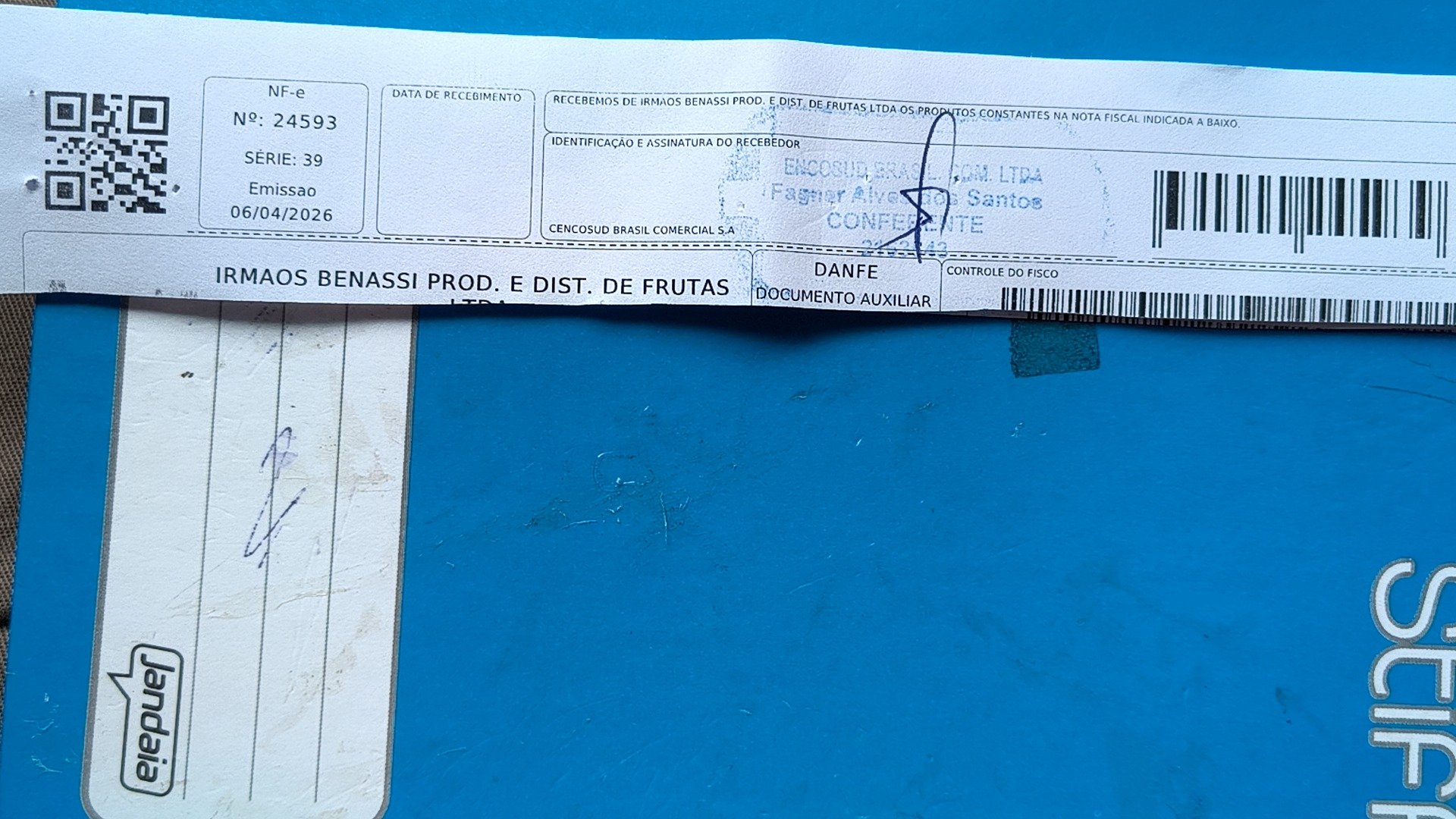 Canhoto 146641293