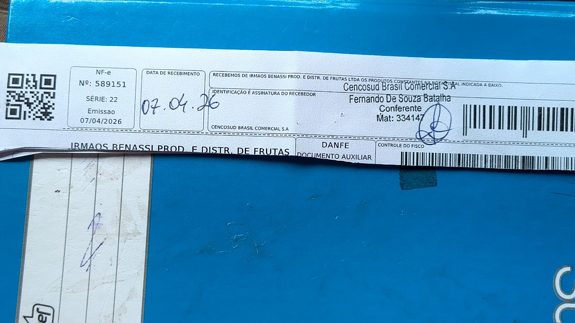 Canhoto 146639993