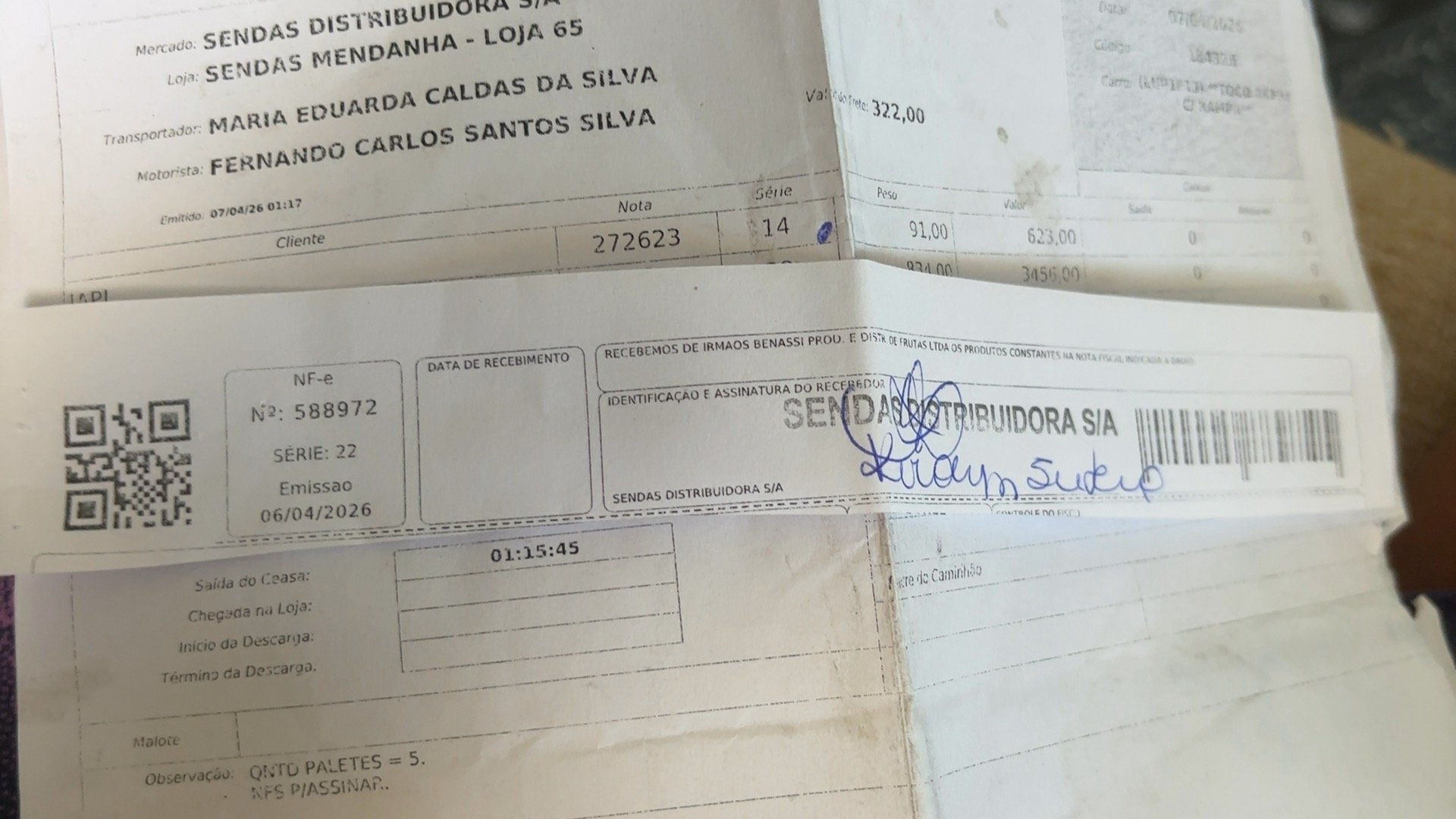 Canhoto 146599393