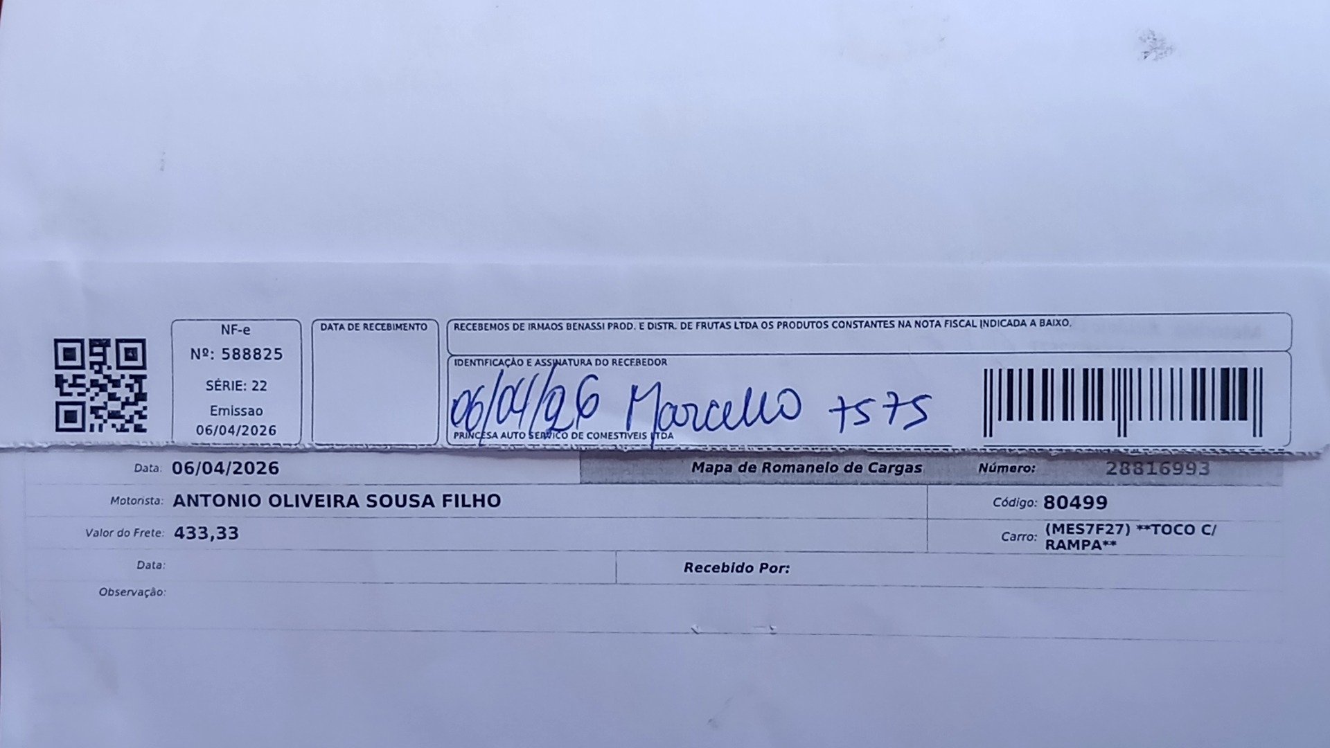Canhoto 146414393