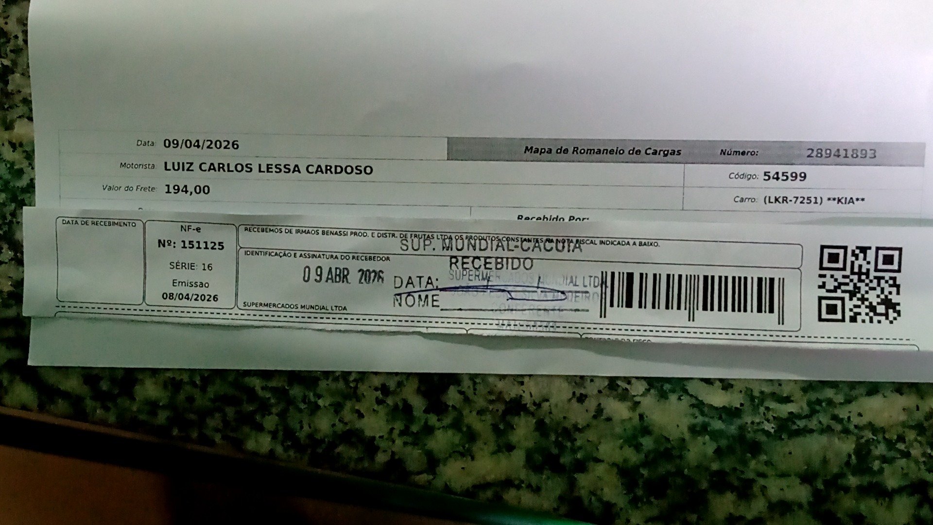 Canhoto 147037193
