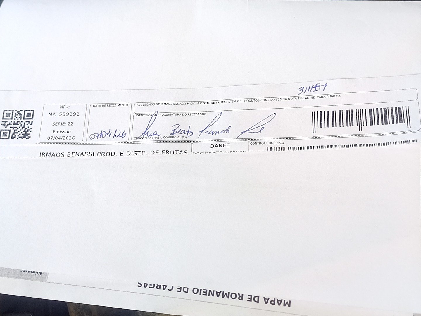Canhoto 146629593