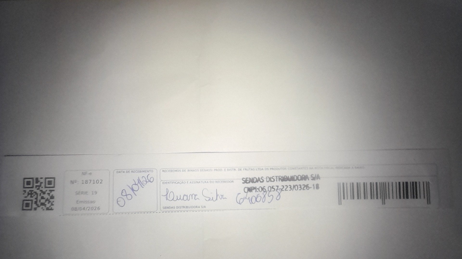 Canhoto 146821893