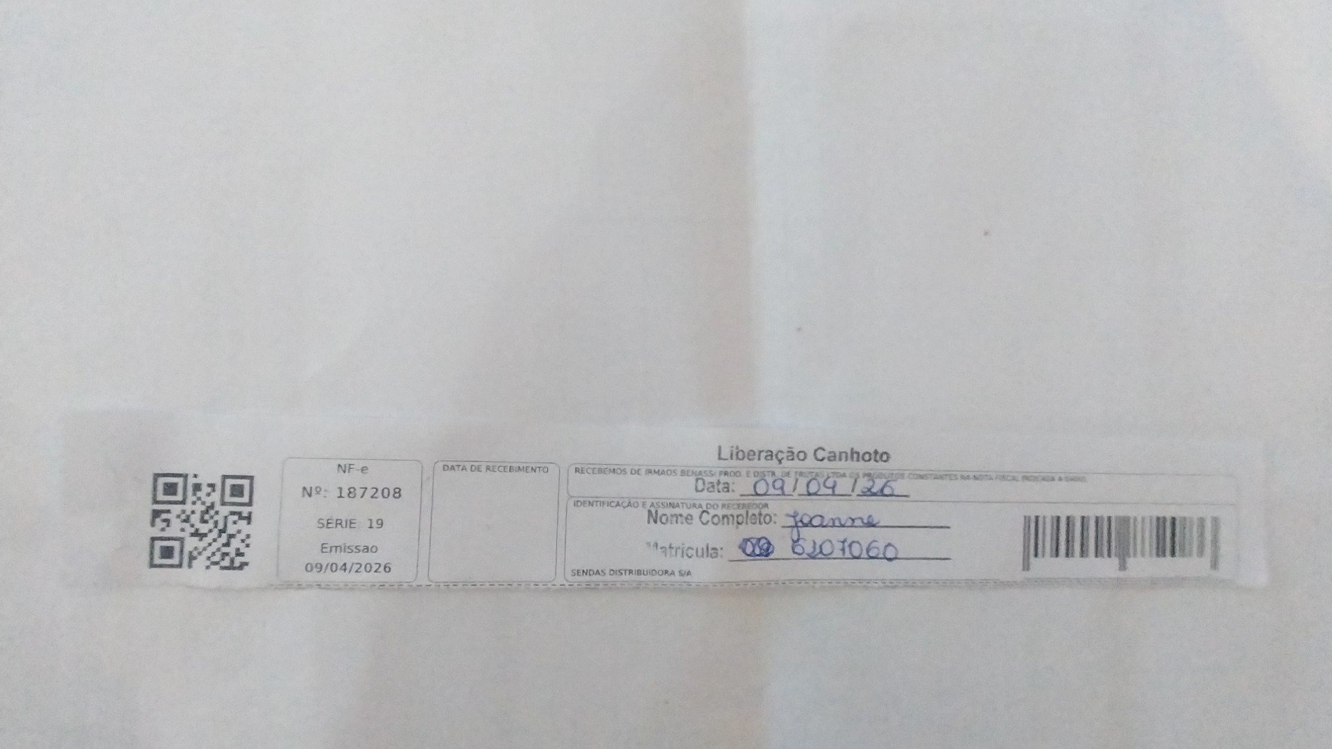 Canhoto 146977393