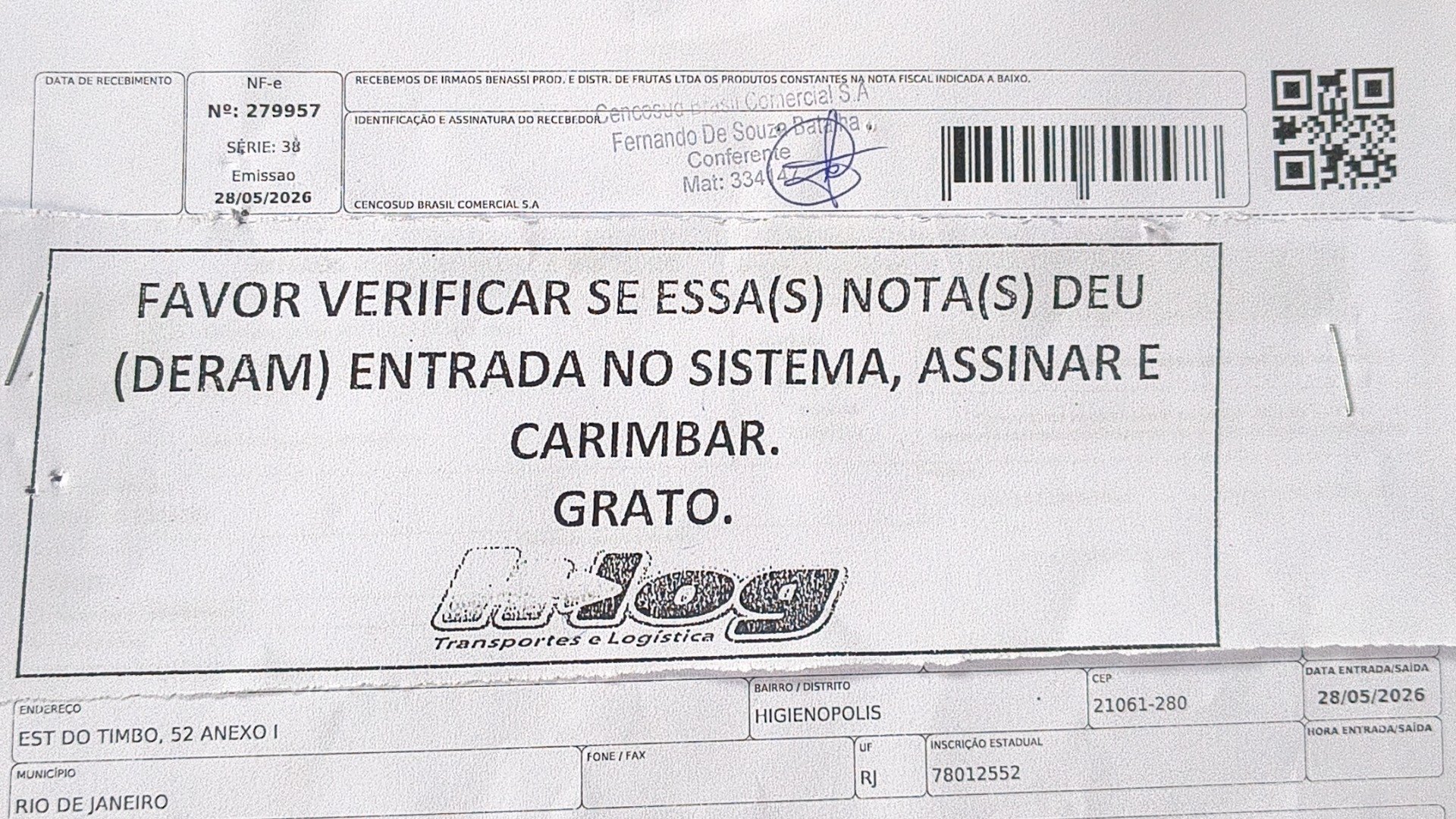 Canhoto 155795593