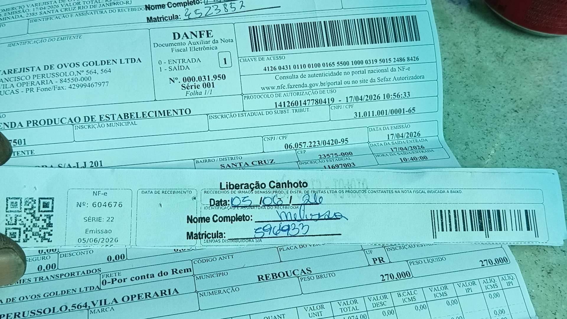 Canhoto 156737293