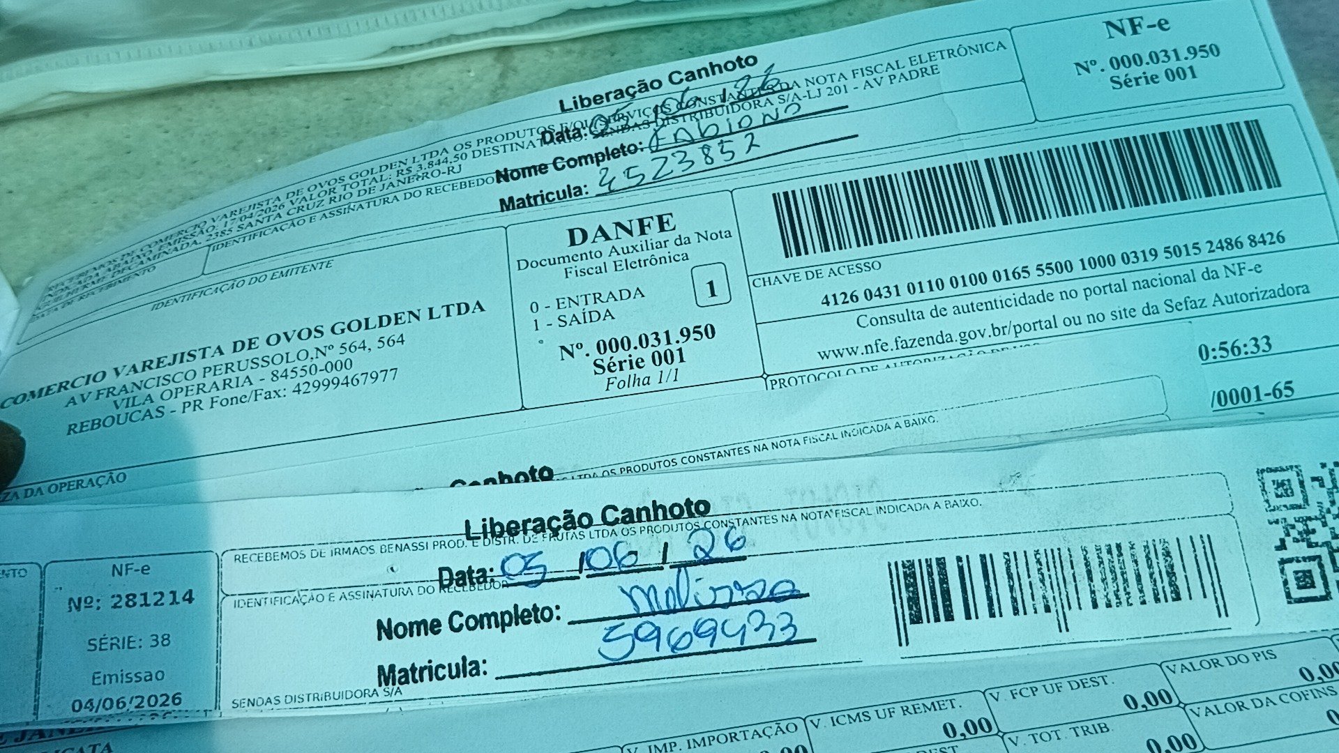 Canhoto 156737493