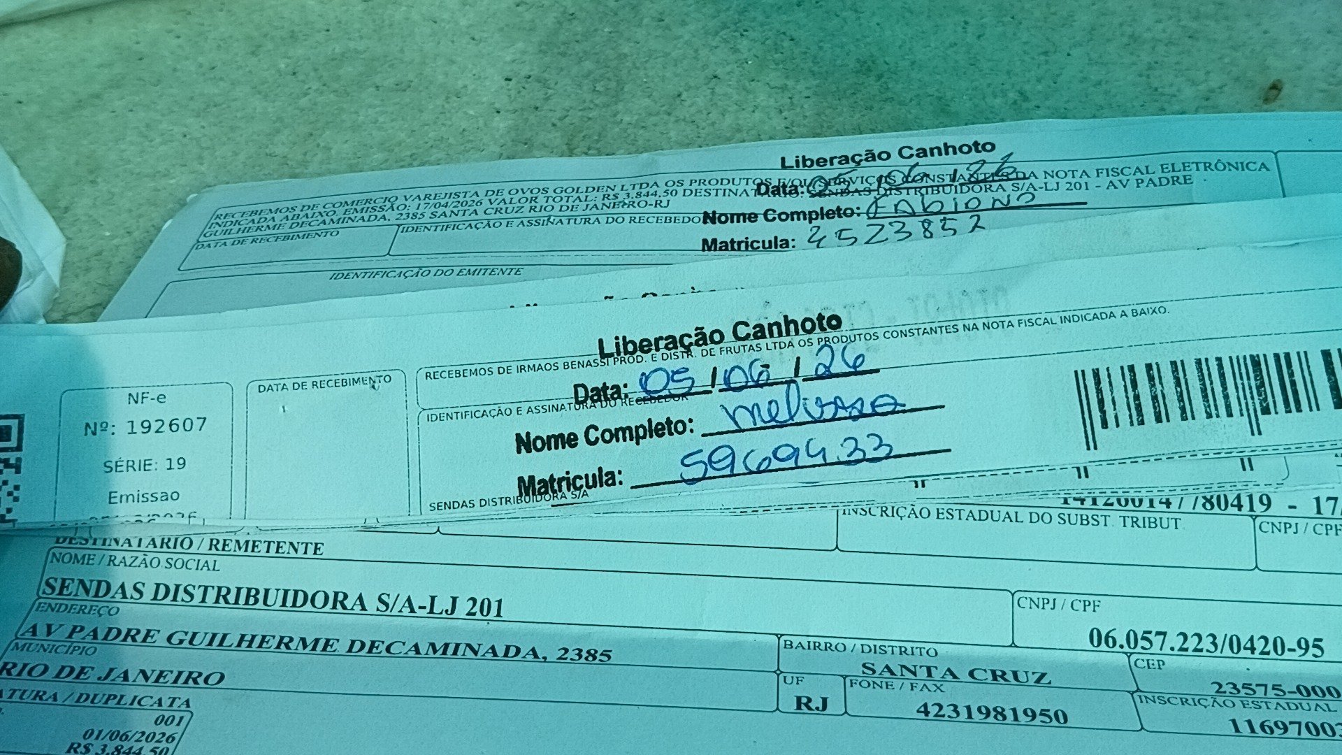 Canhoto 156736993
