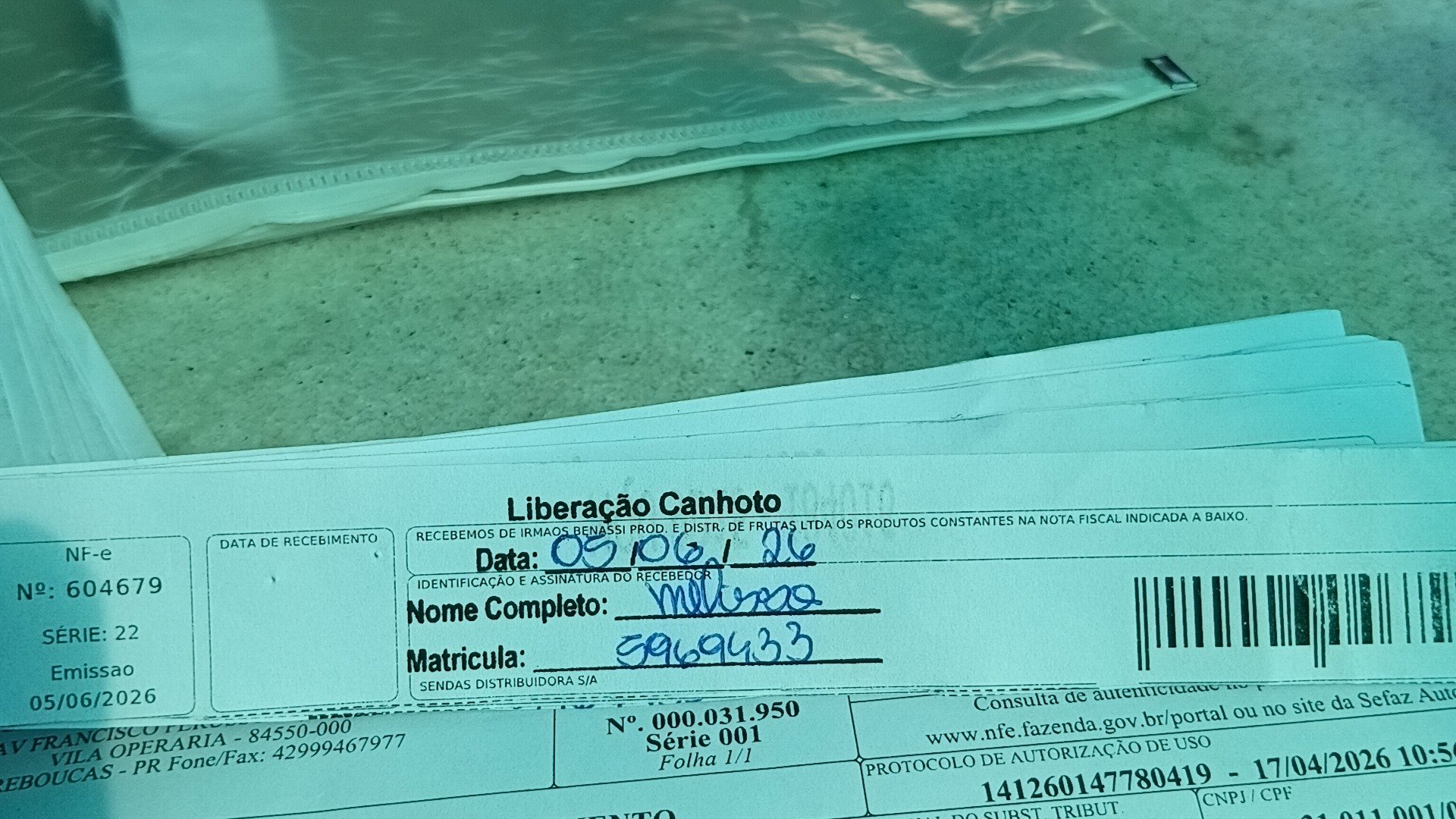 Canhoto 156737193