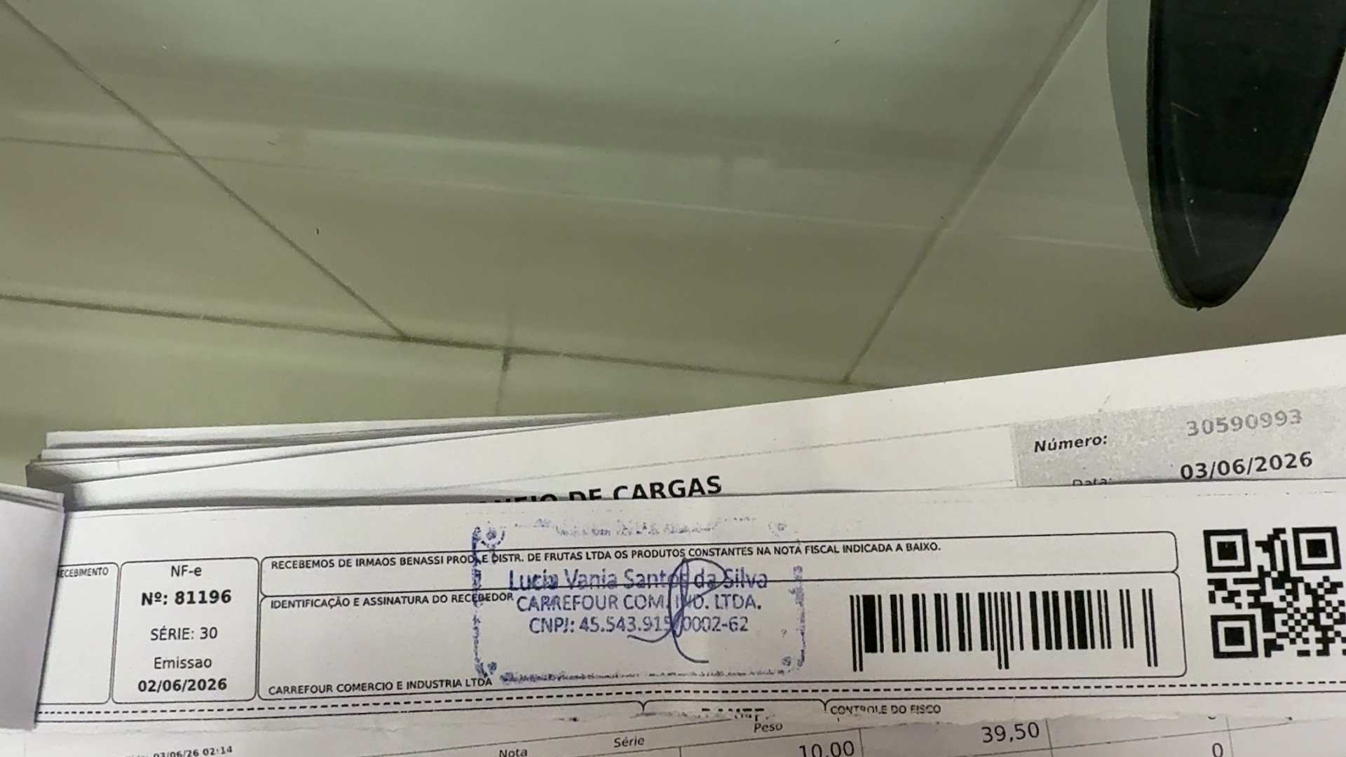Canhoto 156439193