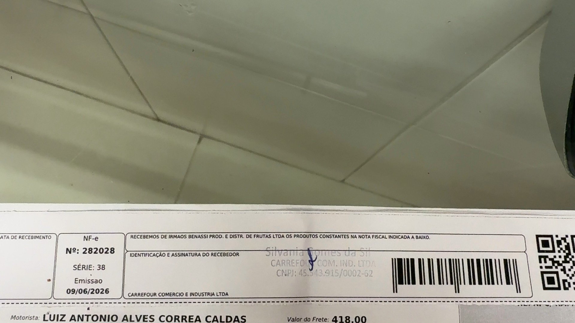 Canhoto 157429493