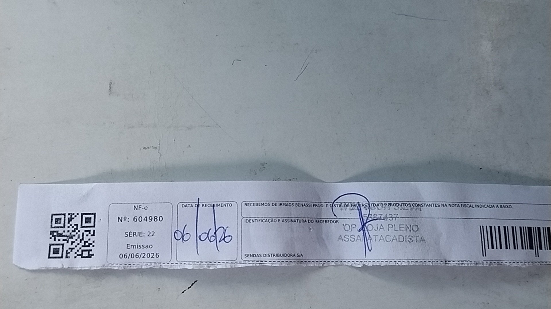 Canhoto 156923393