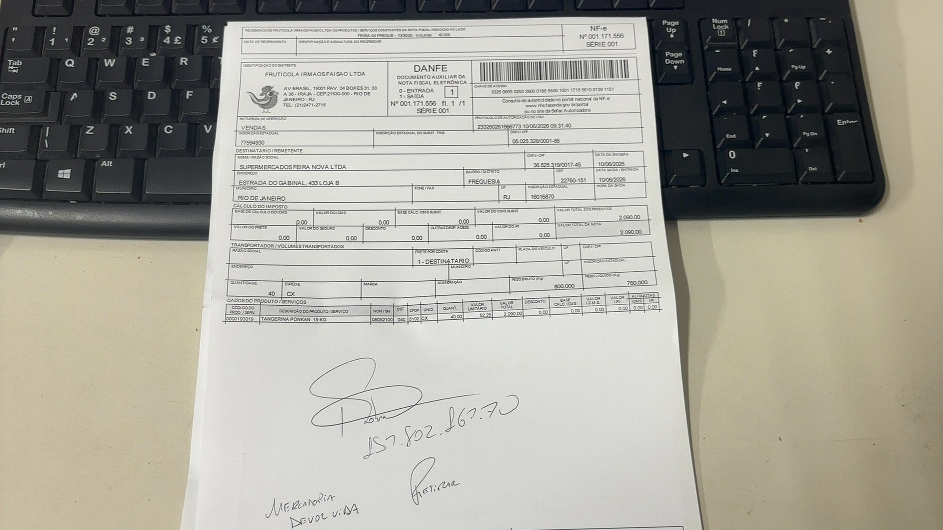 Canhoto 157782993
