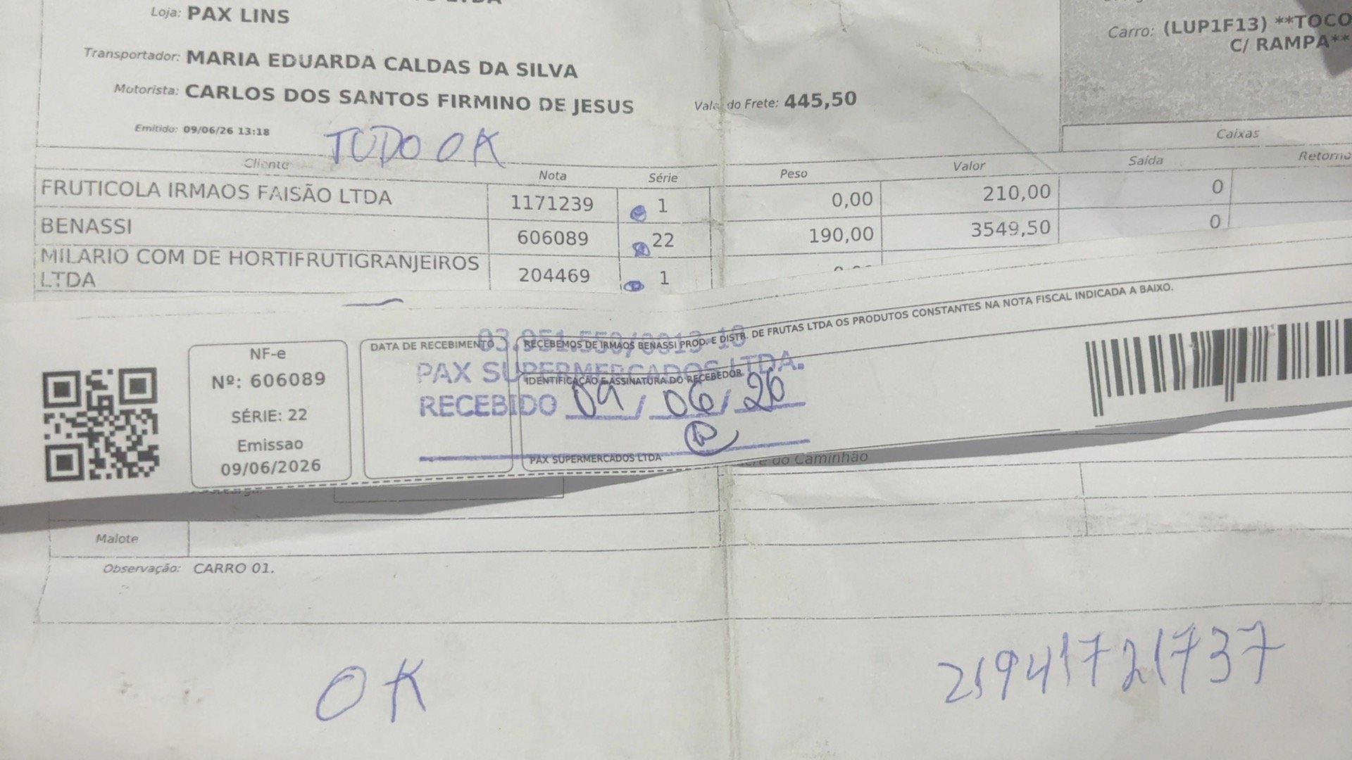 Canhoto 157533693
