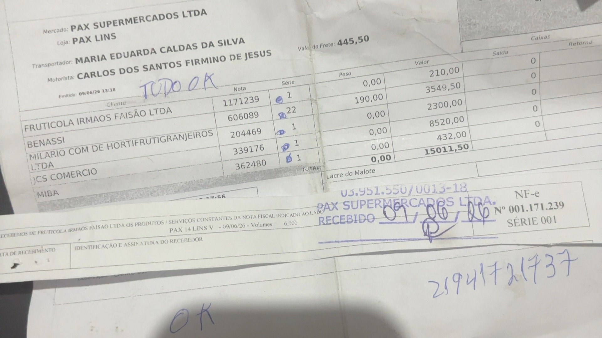 Canhoto 157533593