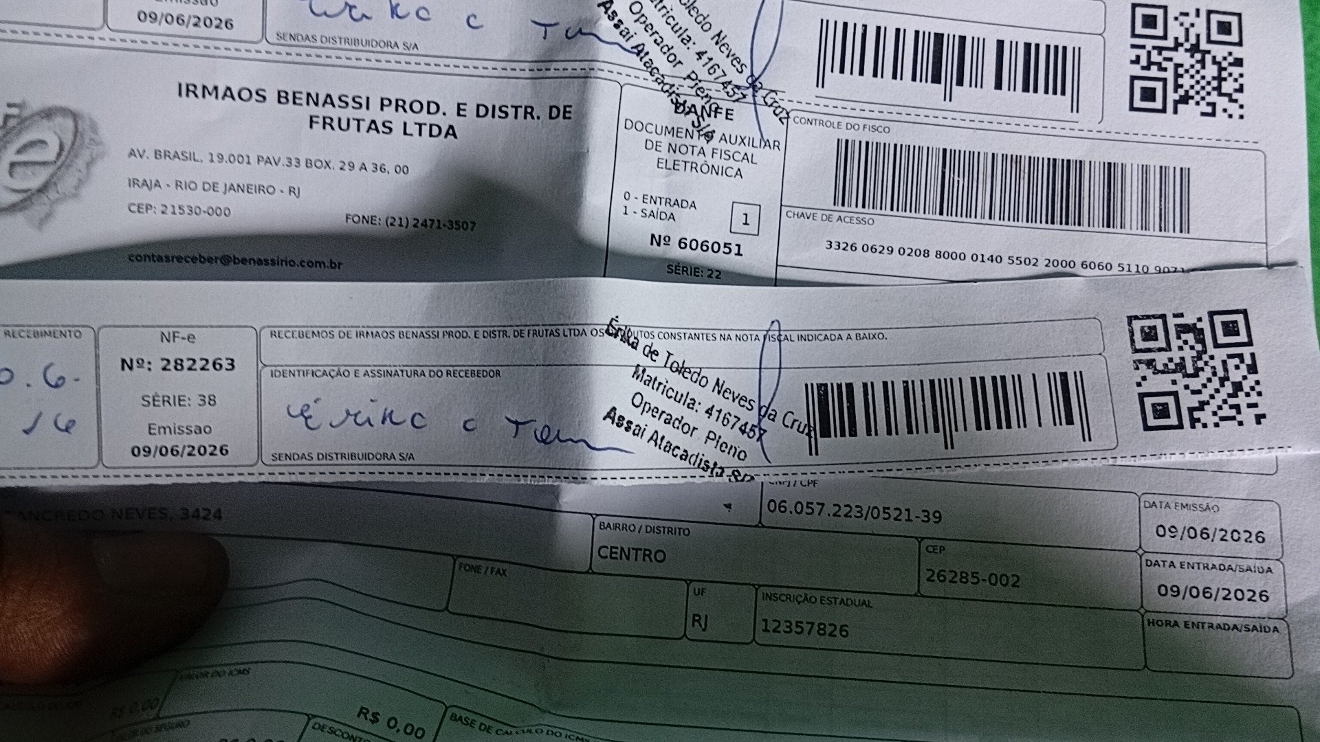 Canhoto 157635993