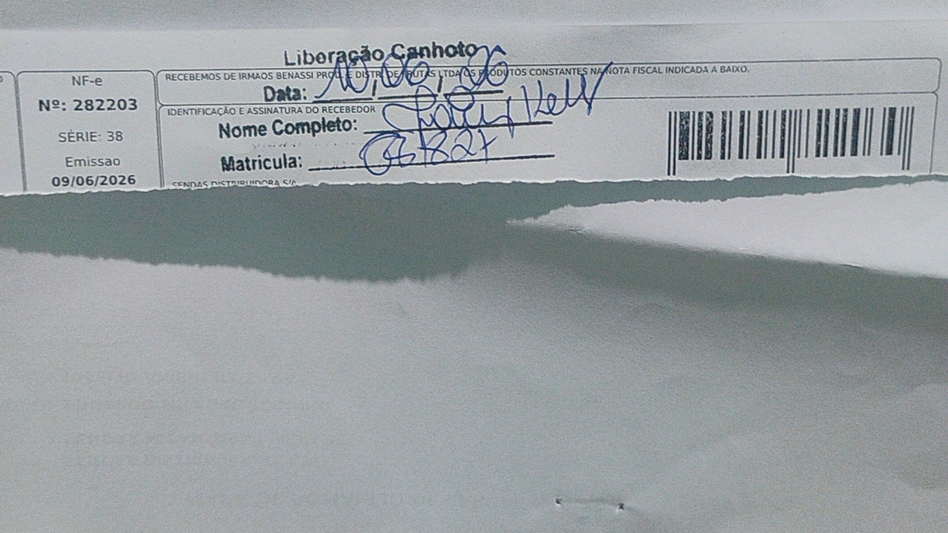 Canhoto 157623393